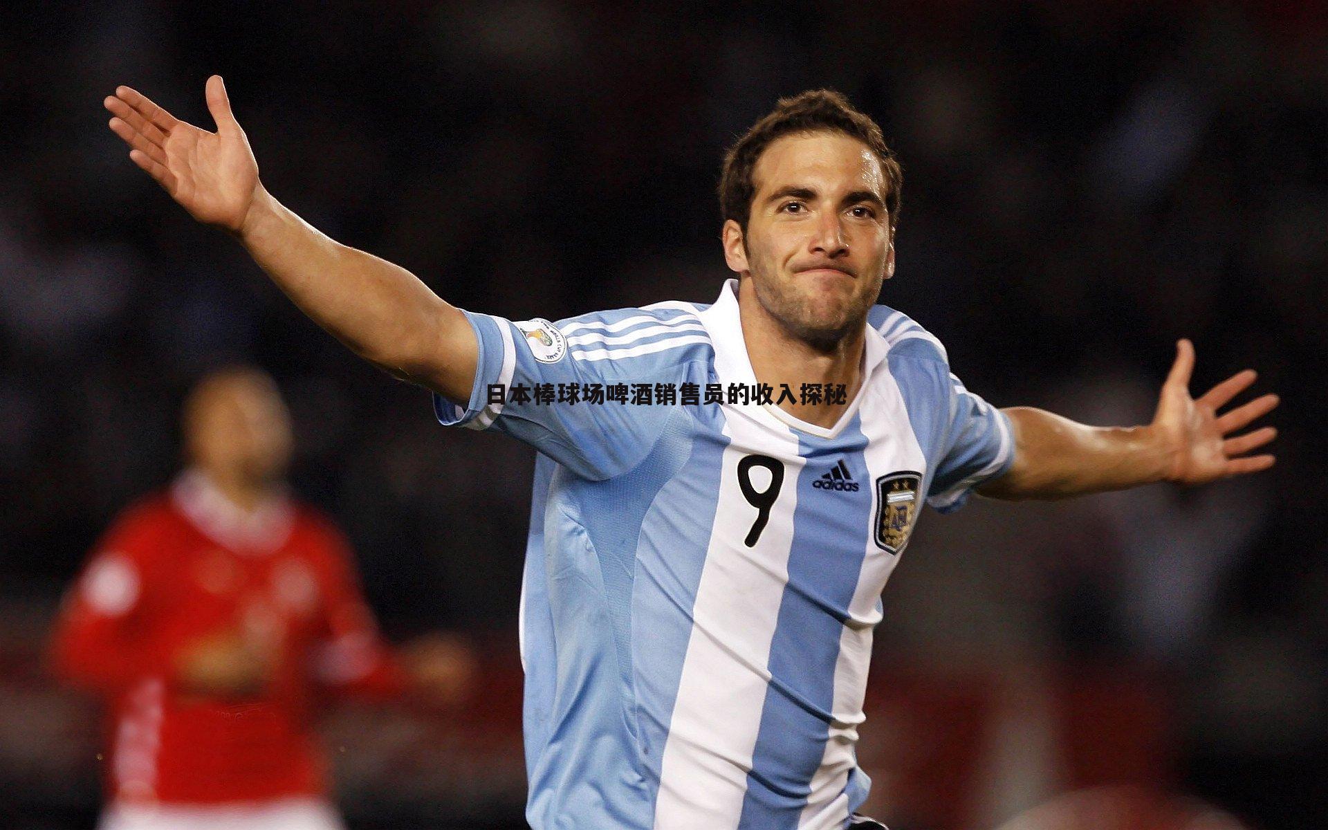 日本棒球场啤酒销售员的收入探秘