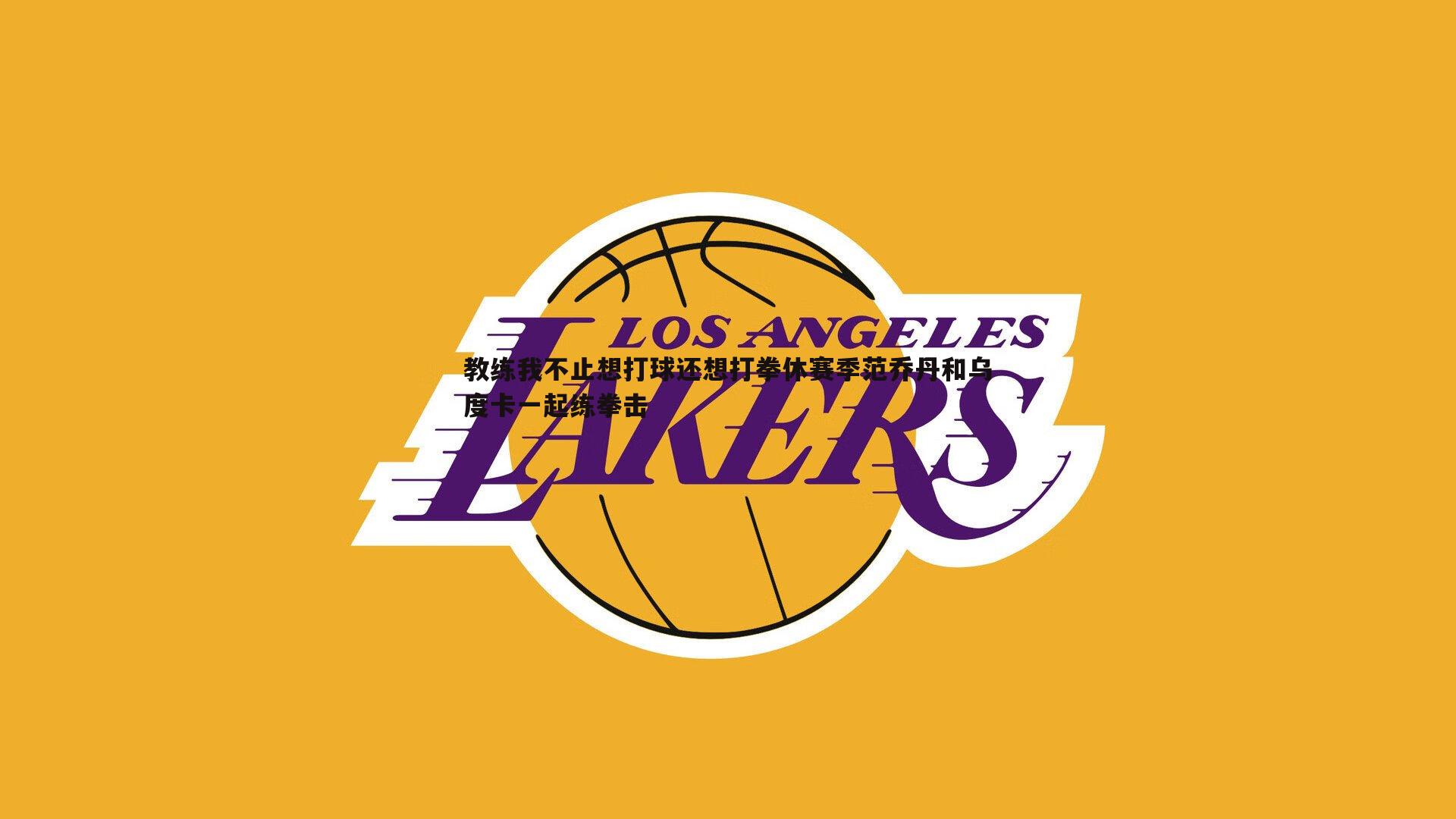 bwin必赢官网-教练我不止想打球还想打拳休赛季范乔丹和乌度卡一起练拳击